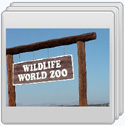 Wildelife World Zoo    Right-Click and select (Open Link in New Window) then click on the Photo Album...