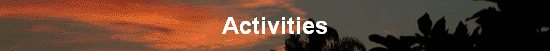 Activities