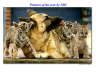 Slide13