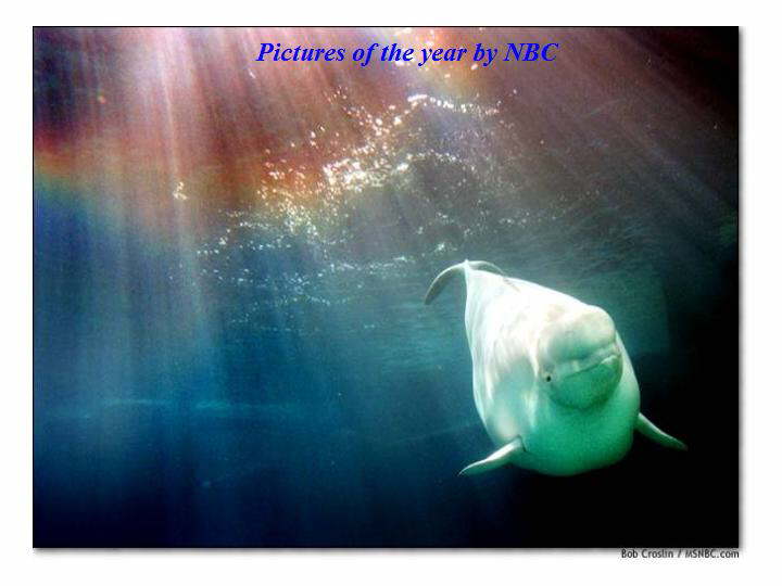 Slide15