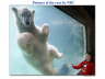 Slide42