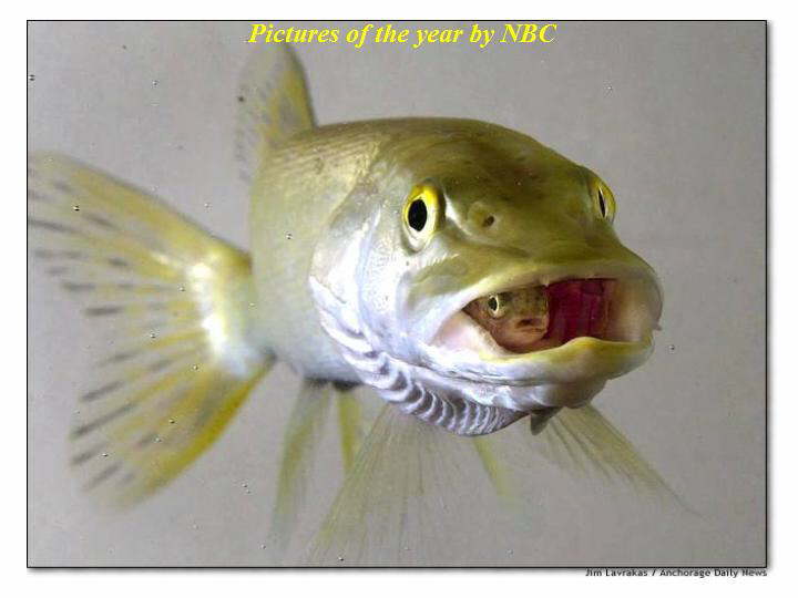 Slide6