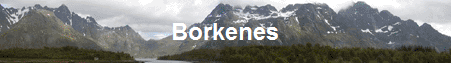 Borkenes