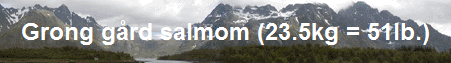 Grong grd salmom (23.5kg = 51lb.)