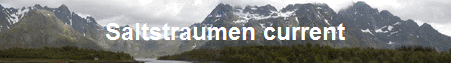 Saltstraumen current