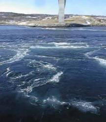 Saltstraumen current