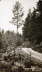 6 - MOTIV FR�N S�DERHAMN OMGIVINING